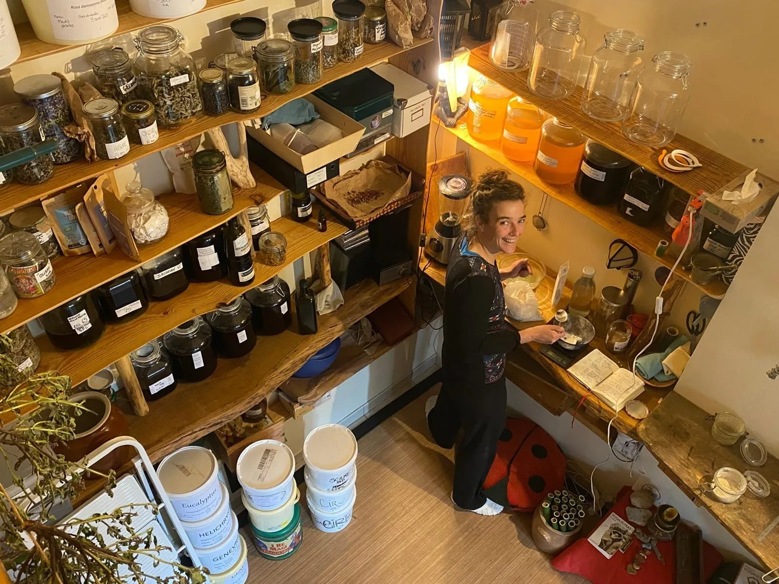 L’atelier : étagères de bocaux de plantes et plan de travail