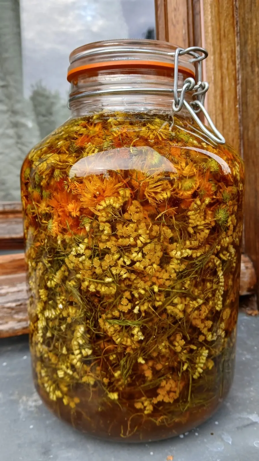 Grand bocal de fleurs en macération dans l’huile, à la lumière